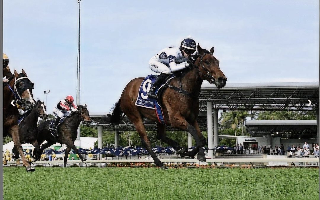 Omilana Triumphs at Sunshine Coast